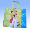 Wholesale pp non woven bag