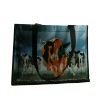 Wholesale PP non-woven bag