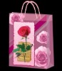Wholesale pp bag, pp clear bag, pp packing bag, pp shopping bag