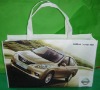 fashional and useful pp non woven bag