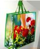 Wholesale Sell Pp woven Shopping Bag
