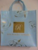 Wholesale pp non woven bag