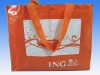Wholesale pp woven shopping bag(CL-153)
