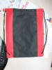 Wholesale 2010 New Backpack Carrier Bag