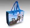pp promotional gift bag