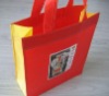Wholesale Non-Woven Shopping Bag