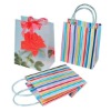 reusable pp shopping bag