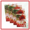 PP shopping bag (ENV-PPB022)