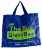 2011 ECO- PP Shopping Bag (TMS0001)