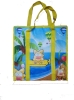 PP non-woven shopping bag