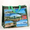 Wholesale PP Woven Shopping Bag