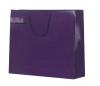 Gift Packaging PP bag