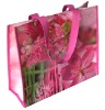 Wholesale 2010 new PP Woven Shopping Bag (JS-WSB1016)
