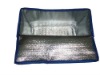 Wholesale 2011 New arrivel cooler bag for picnic