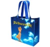 Wholesale sky pp woven bag