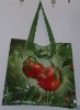 Wholesale PP woven bag