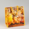 Wholesale pp woven gift bag (shopping bag)
