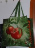 Wholesale woven bag