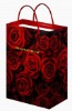 2010 New Wine Bag