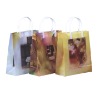 Shopping Bag