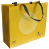PP Nonwoven Bag