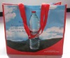 Wholesale 2011 Laminated Woven PP Bag For Shopping (PY-9746)