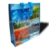 Wholesale pp non-woven Shopping Bag