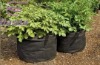Wholesale PP Grow Bags
