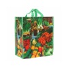 Wholesale high quality pp woven shopping bag
