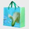 Wholesale 2010 pp woven shopping bag