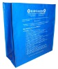 Wholesale 2011 reusable folding PP Woven Shopping bag