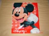 Wholesale plastic clothing bag