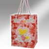 Shopping paper bag