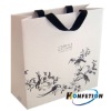 Gift Paper Bag with ribbon handles