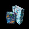 Paper Printed Gift Bag