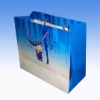 Paper Shopping Bag