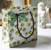 Custom Paper Bag