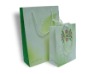 Paper Gift Bag