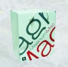 2010 paper shopping bag (BB-42)
