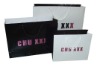 Shopping Ppaer bag