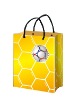 Sports Paper Bag