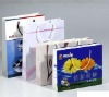 Wholesale 2011 recyclabe shopping paper bag