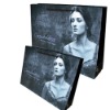 2010 shopping paper bag