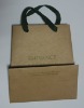 2011 recoverable shopping paper bag