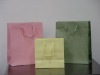 Exquisite paper shopping bags