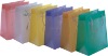 Retail Paper Shopping Bag