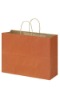 2011 recyclabe shopping paper bag