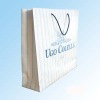 2011 promotional paper bag