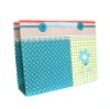 Shopping bag(LD-064)