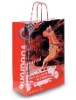 fashionable shopping paper bag